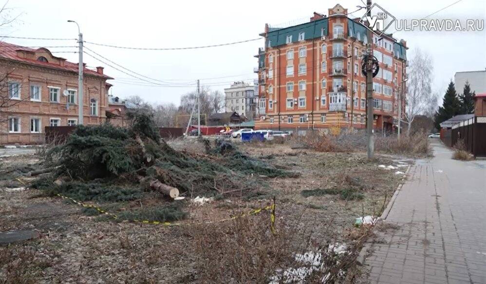 В Ульяновске по факту вырубки деревьев на улице Радищева возбудили уголовное дело