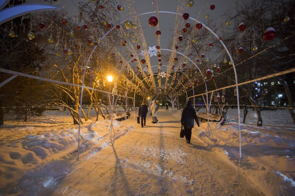 Жители Новосибирска назвали комфортную для жизни температуру зимой