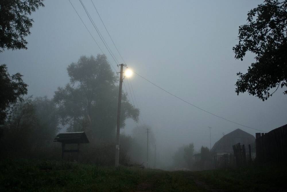 МЧС: Туман в Рязанской области сохранится до конца суток