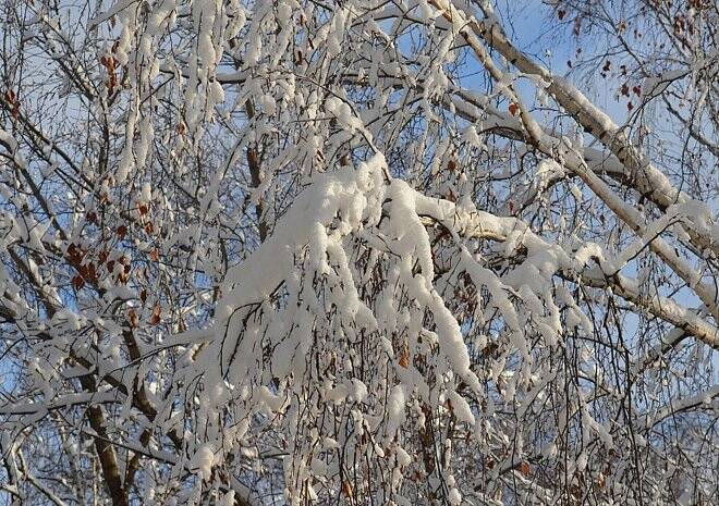 В пятницу в Рязанской области похолодает до -19 °С