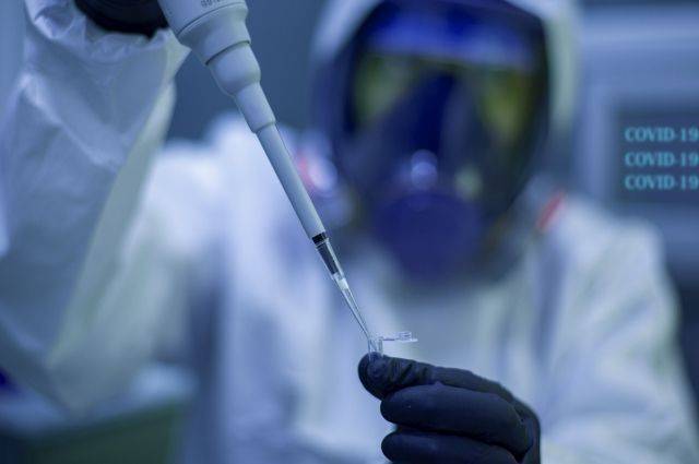В Хабаровском крае коронавирусом за сутки заболели более 280 человек