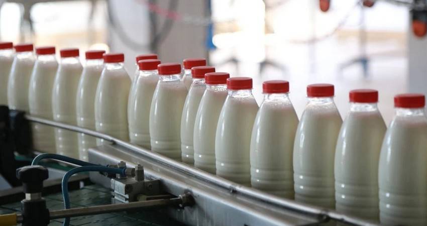 Беларусь в 2020 году нарастила производство молочной продукции