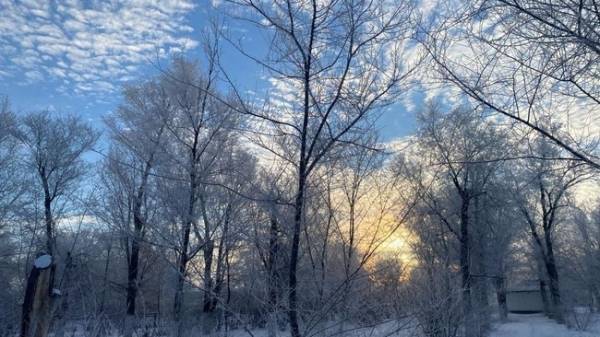 Погода в Соль-Илецке: синоптики обещают плюсовую температуру