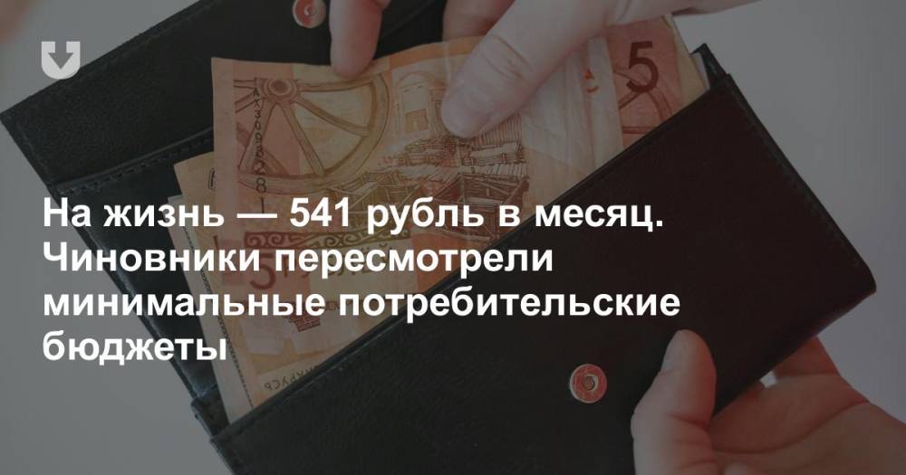На жизнь — 541 рубль в месяц. Чиновники пересмотрели минимальные потребительские бюджеты