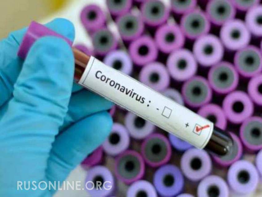 Учёные обнаружили «важные улики» при исследовании происхождения коронавируса в Ухане