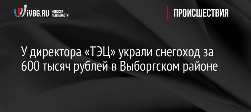 У директора «ТЭЦ» украли снегоход за 600 тысяч рублей в Выборгском районе
