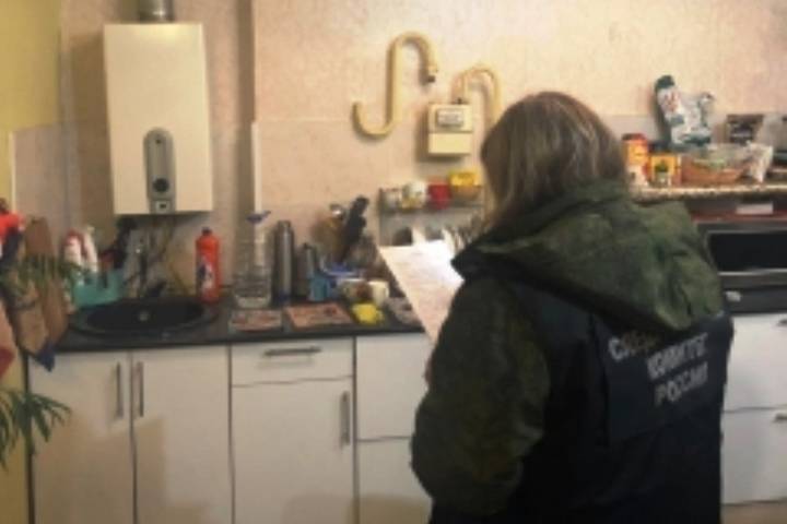 Следователи в Узловой организовали проверку по факту отравления детей угарным газом