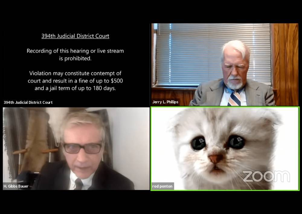 Во время судебных онлайн-слушаний в Zoom один из юристов предстал в образе кота