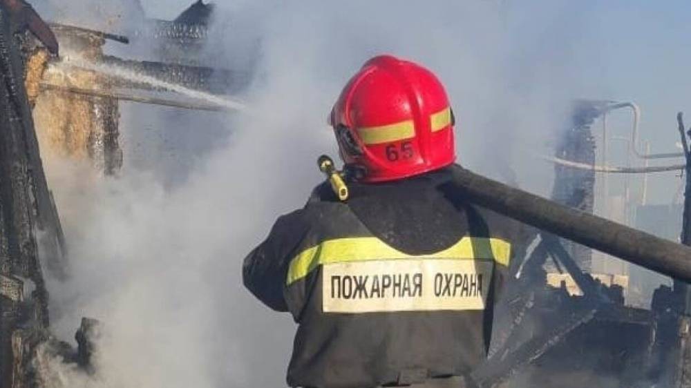 Четыре человека заживо сгорели при пожаре в строительной бытовке под Тверью