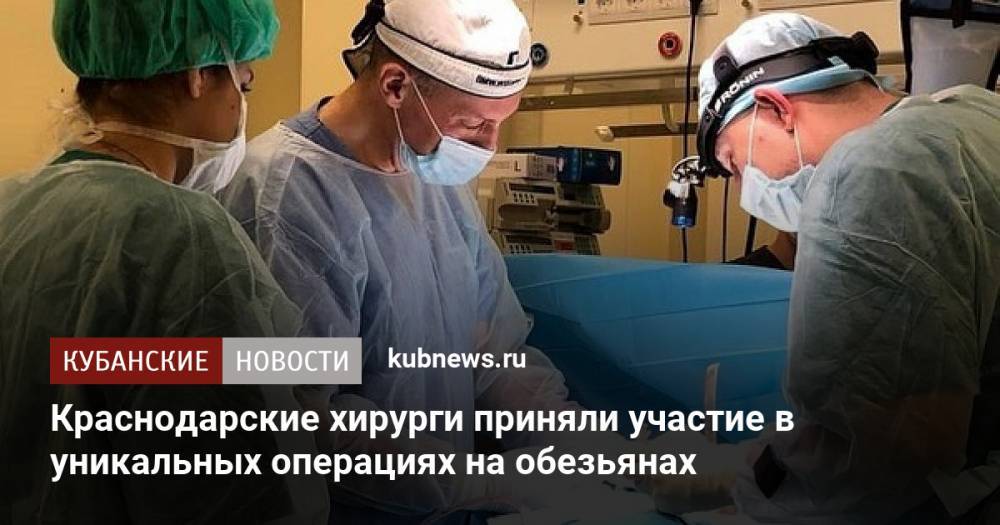 Краснодарские хирурги приняли участие в уникальных операциях на обезьянах