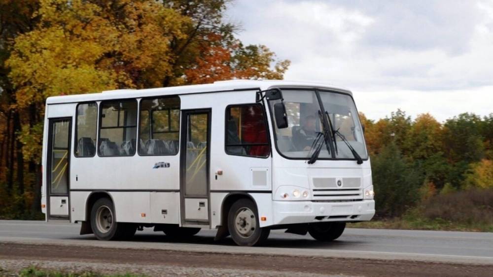 Пьяные сторонники Навального устроили дебош в автобусе в Петербурге