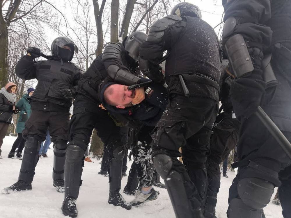 Совет Европы потребовал от главы МВД РФ объяснить жесткие задержания протестующих