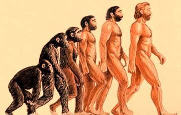 Ученые опровергли «сенсационную» гипотезу об эволюции человека
