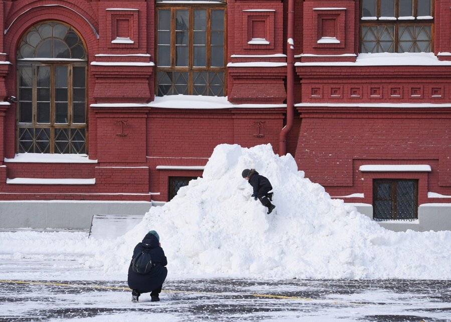 Сугробы в Москве выросли до 40 см за ночь из-за снегопада