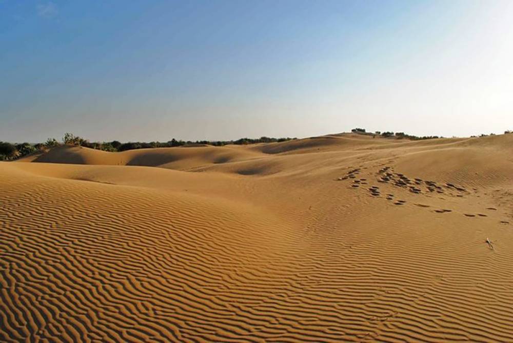 Вместо степей – пустыня: в Кабмине предположили неблагоприятный сценарий для Юга