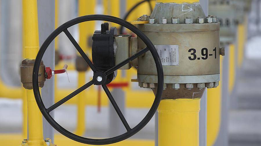 Германия в феврале увеличила закупку российского газа на 47,8%