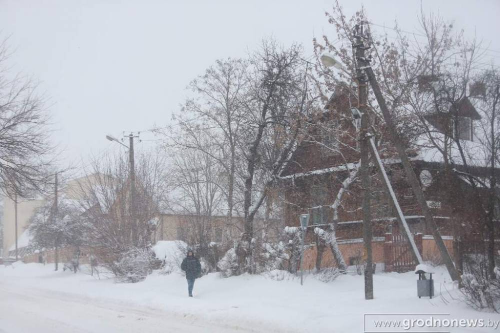 Снег и порывистый ветер ожидаются в Беларуси 12 февраля