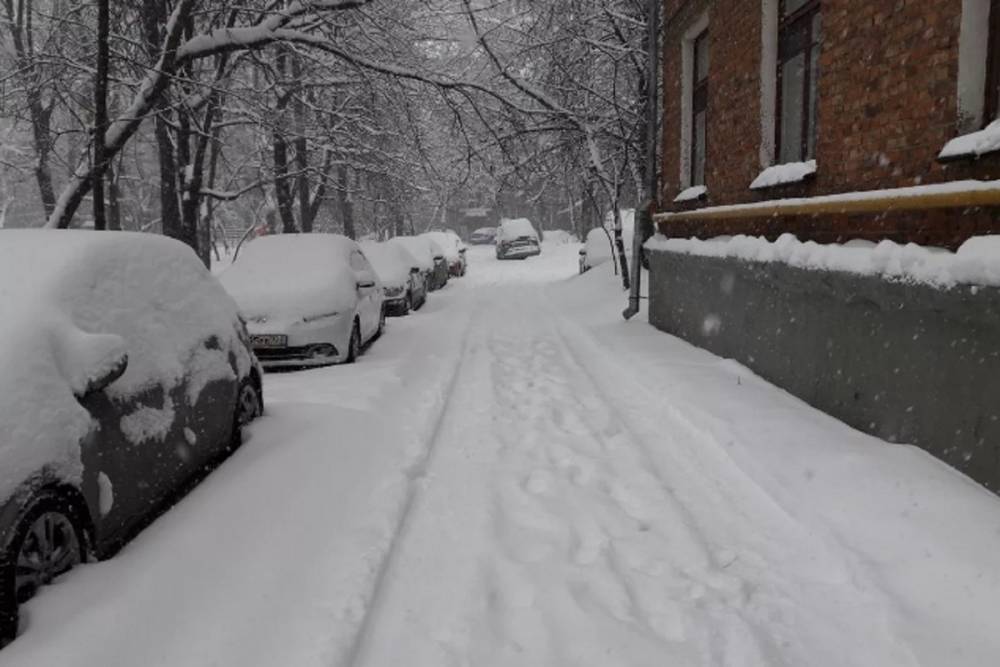 Ночью Кострому засыпало снегом