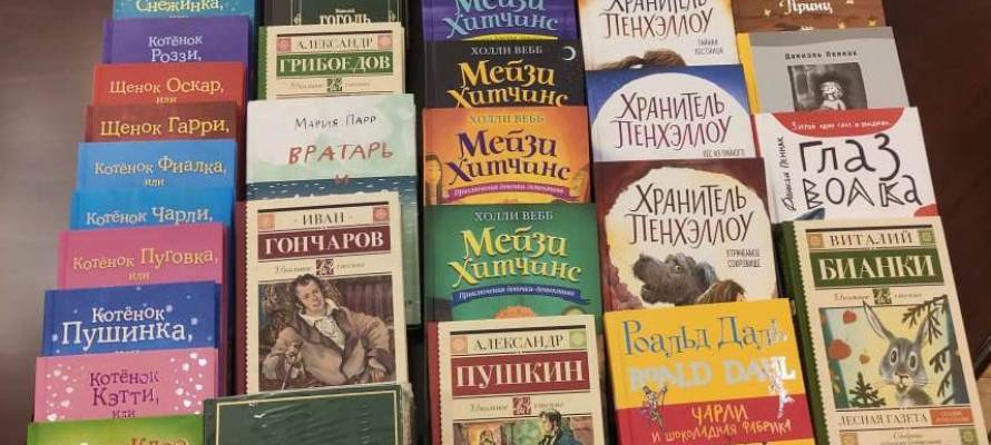 Глава Карелии купил комплект детской литературы для библиотеки Питкяранты