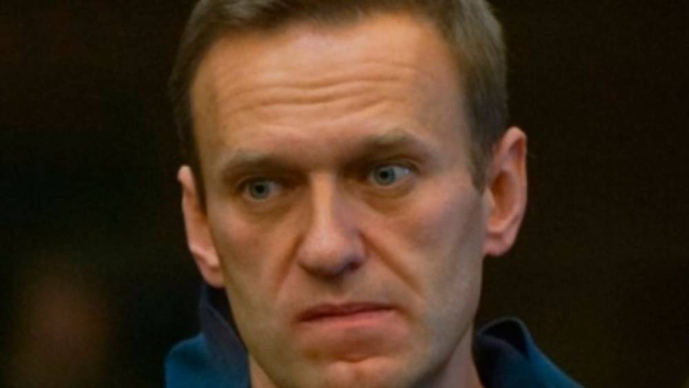 Спецслужбы ФРГ охраняли Навального на территории Германии