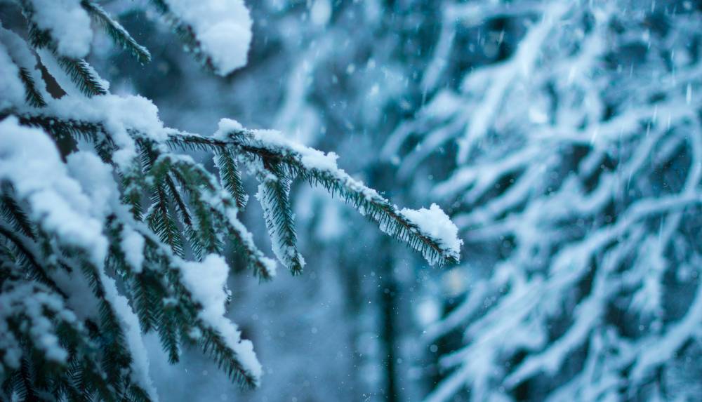 Прогноз погоды на 16 февраля: в Украине наконец-то не будет идти снег