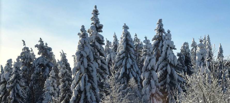 Синоптики обещают, что 16 февраля в Карелии морозы пойдут на спад