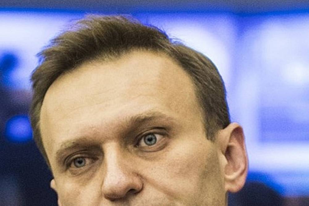 Гособвинитель попросила передать список оскорбительных фраз Навального в СК