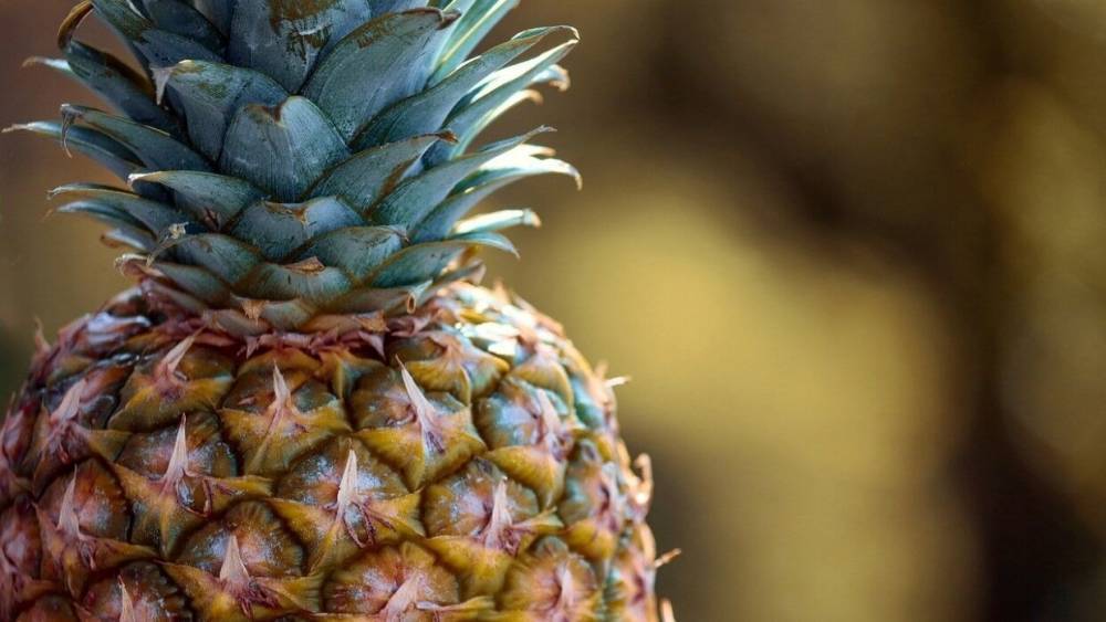 Специалисты "Росконтроля" проверили качество консервированных ананасов