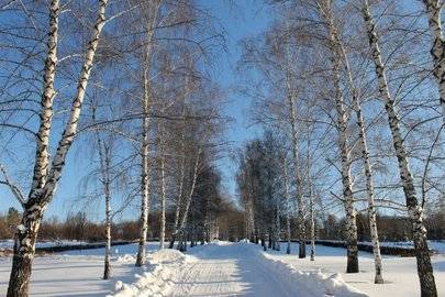 В Башкирии мужчина уехал на снегоходе и пропал