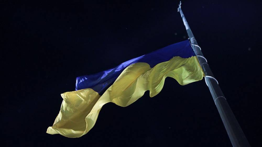 Депутат Рады боится "расчленения" украинской литературы