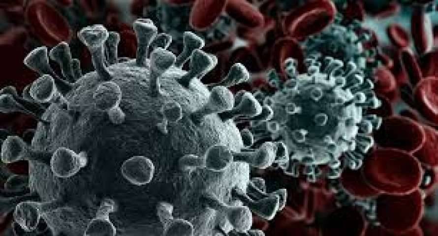 Ученые установили настоящий цвет молекулы коронавируса