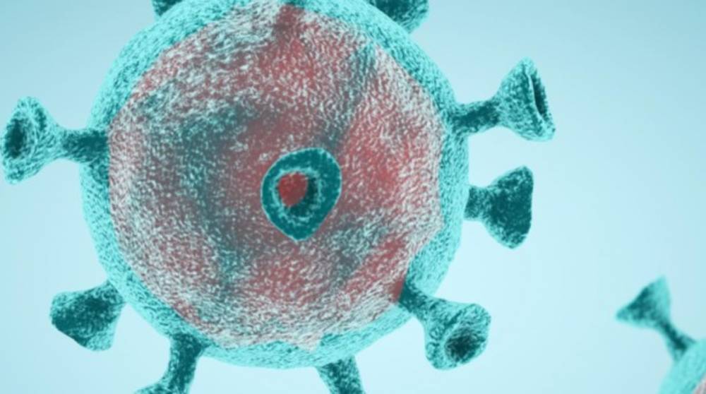 Как долго остается иммунитет против коронавируса – выводы ученых