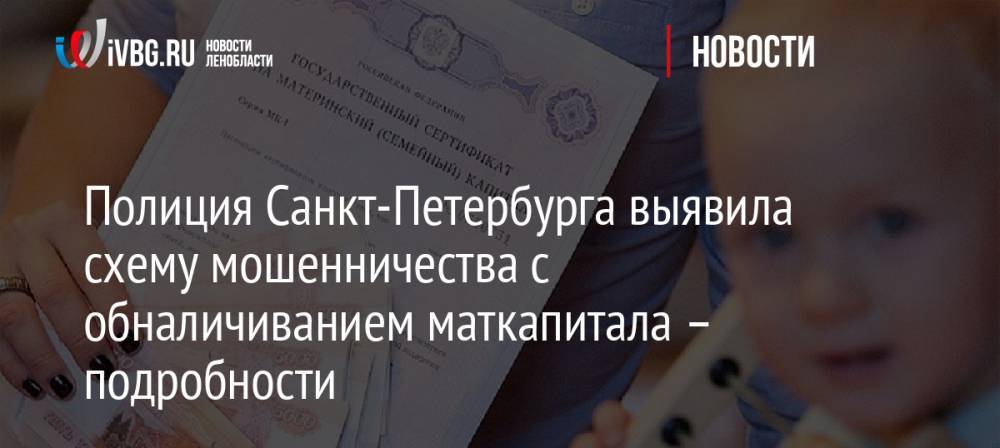 Полиция Санкт-Петербурга выявила схему мошенничества с обналичиванием маткапитала – подробности
