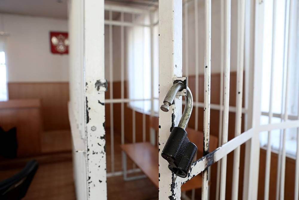 Жителя Хабаровска осудили на 10 лет за подготовку теракта на митинге в поддержку Фургала