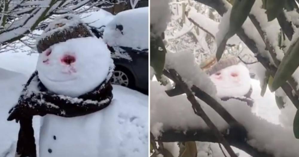 Видео с "самым жутким снеговиком" стало вирусным в Сети