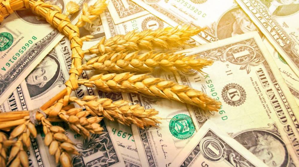 Отмывание денег через экспорт зерна: правоохранители открыли дело