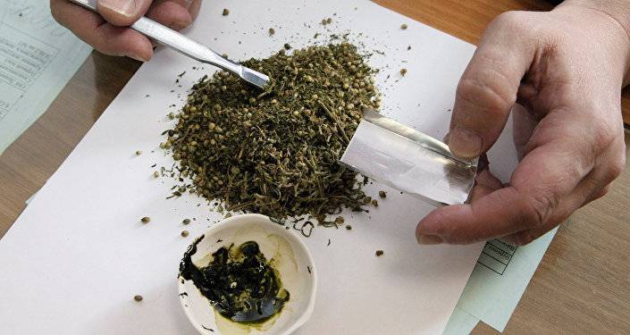 Житель Ташира хранил марихуану в доме друга – полиция поймала его
