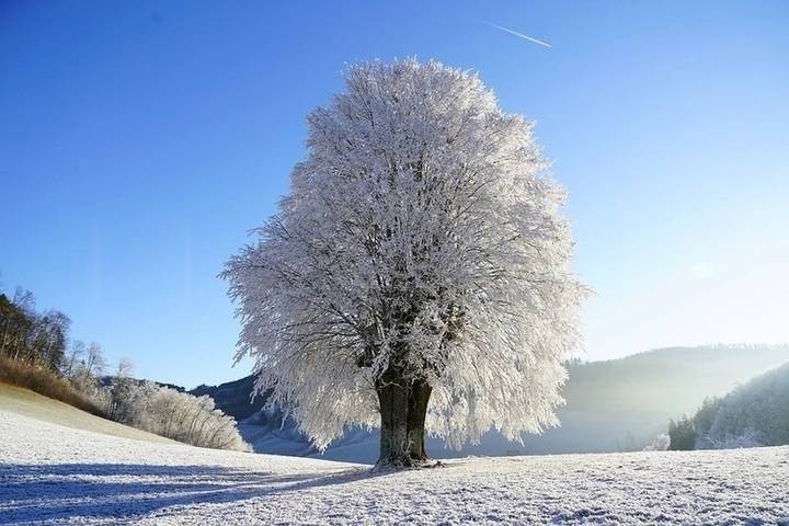 Смоленскую область ожидает приятный, но морозный солнечный день