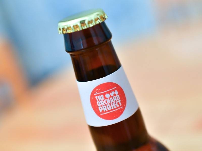 Осенью пиво и сидр начнут маркировать, чтобы спасти рынок от контрафакта
