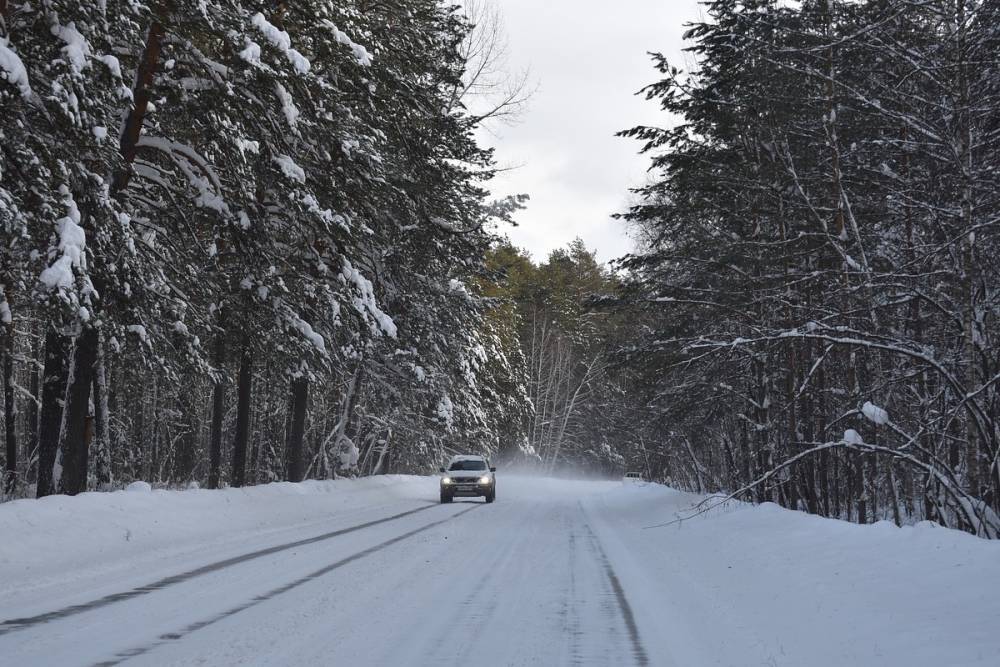 Жителей Ленобласти предупредили о сильных снегопадах и морозе в выходные