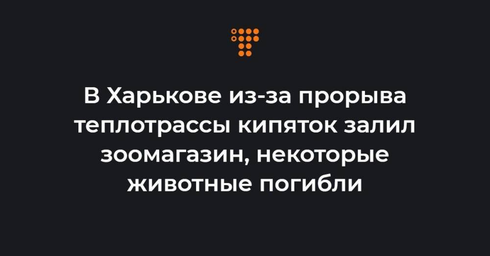 В Харькове из-за прорыва теплотрассы кипяток залил зоомагазин, некоторые животные погибли