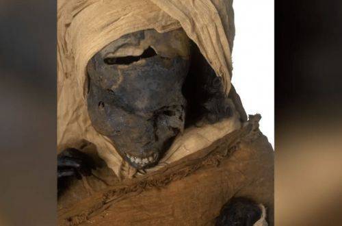 Ученые, изучив мумию фараона, выяснили страшные подробности его гибели