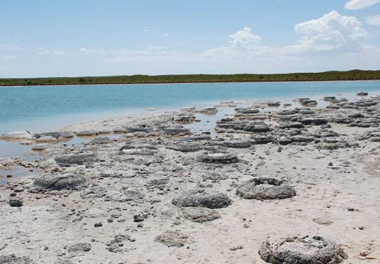 Ученые раскрыли причину появления строматолитов на Земле