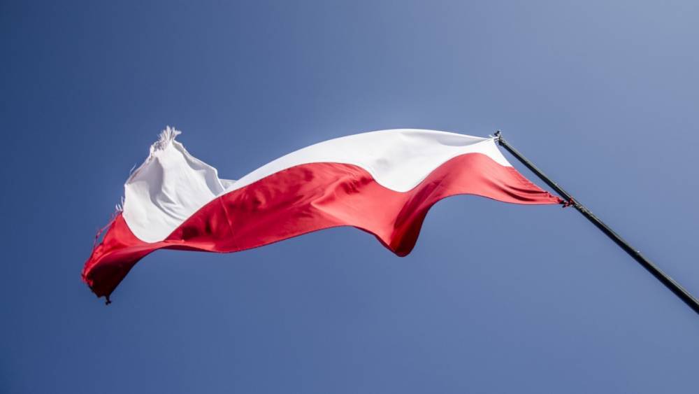 В Сербии назвали Польшу "расходным материалом" в возможной войне между НАТО и Россией