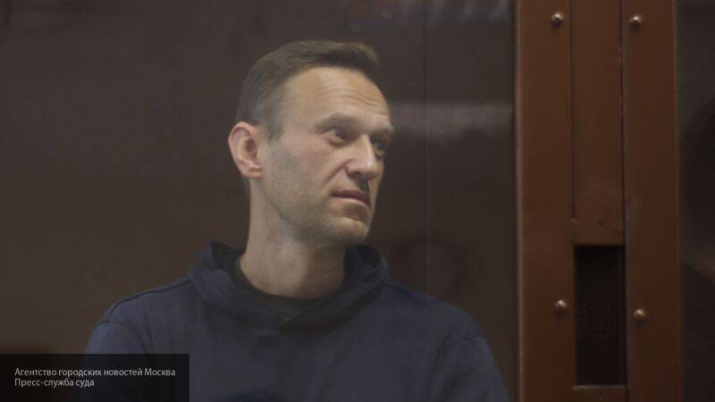 Юрист Ремесло сравнил Навального с убийцей после речи блогера на суде о клевете