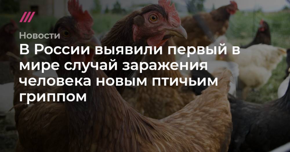 В России выявили первый в мире случай заражения человека новым птичьим гриппом