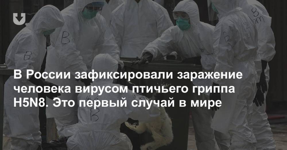 В России зафиксировали заражение человека вирусом птичьего гриппа H5N8. Это первый случай в мире