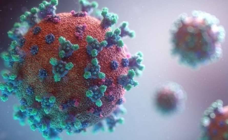 В Швеции выявили «бразильский» штамм коронавируса