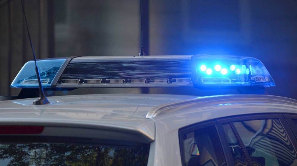 Полиция Петербурга задержала водителя за езду задним ходом по "встречке"