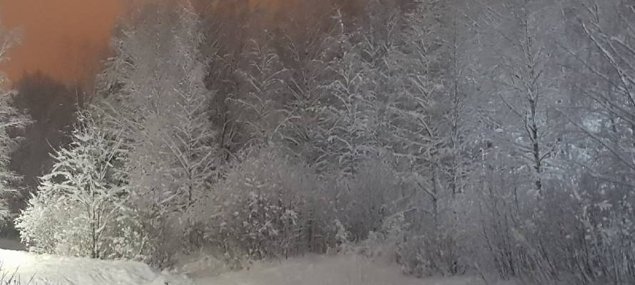 Морозы не отступают – ночью 22 февраля в Карелии похолодает до -32